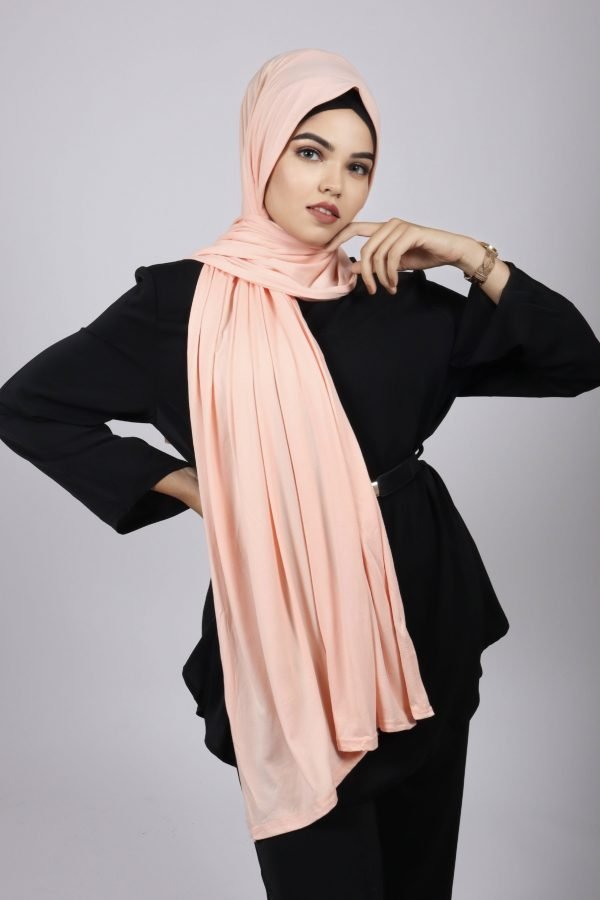 80E68637-E898-4364-9242-7FFAE8EA8B98 Flemingo bamboo Jersey Hijab
