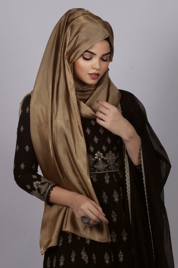 30E2D963-7C9F-4B73-A791-27D5650A95BC Bronze Premium Organza Hijab
