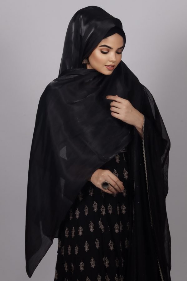 755FEFA4-ABE8-4A75-B32E-3CE669426AFE Jet Black Premium Organza Hijab