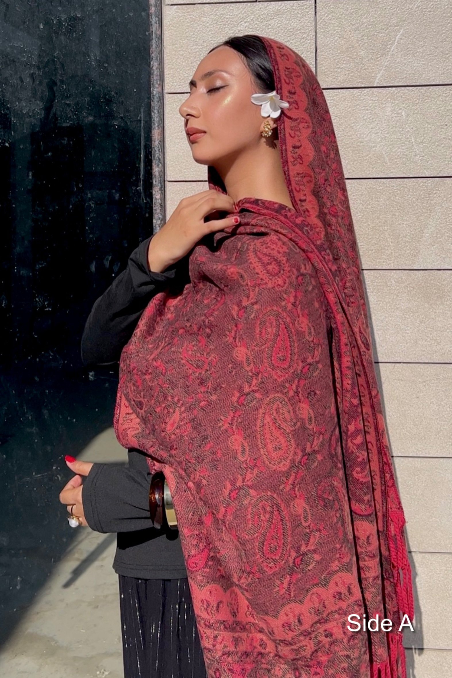 Anarkali Double Sided Pashmina Shawl - Image 4